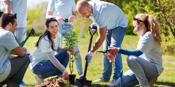 Corporate team planting trees to help sustainability